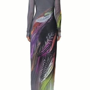 Didi Long Sleeve Mesh Maxi Dress AFRM